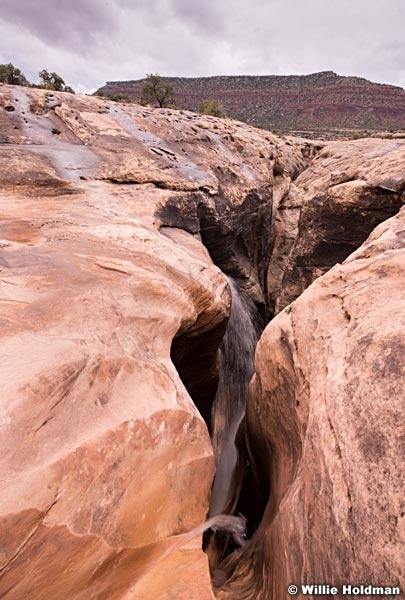 Flash Flood White Canyon 042614 6990