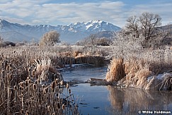 MidwayMarsh122711 38