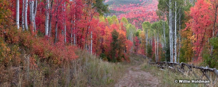 Road of Color 092012