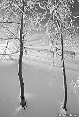 FrostyaspensdeervalleyBW8122410 478