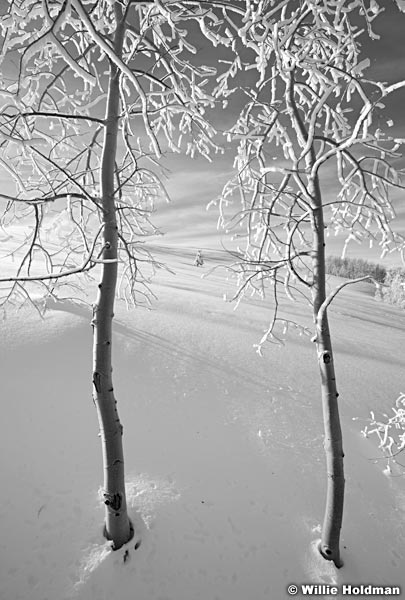 FrostyaspensdeervalleyBW8122410 478