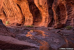 Escalante Slot Canyon 06516 1149