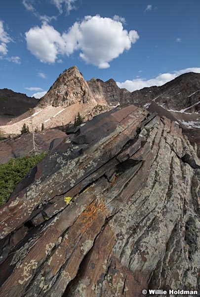 Lichen Rocks Wasatch Peaks 062321 2114