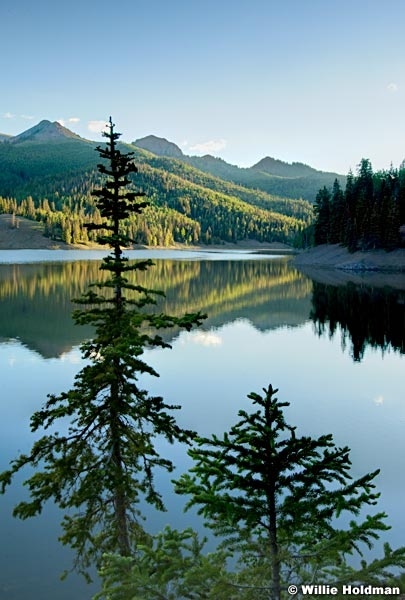 tusharbluelaketree071410