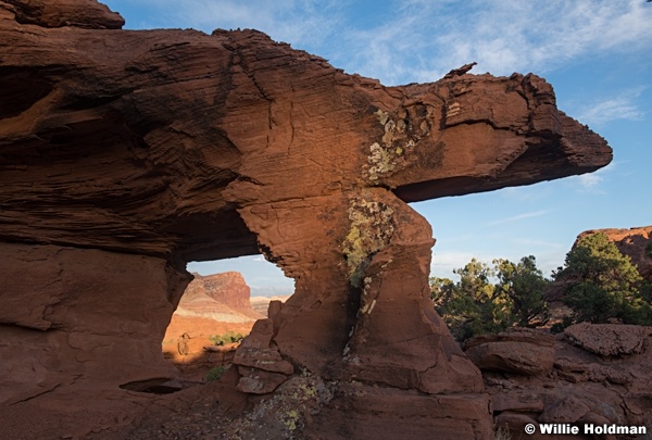 Holy Arch Capitol Reef 051921 0176
