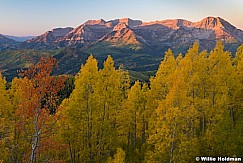 Timpanogos Yellows Orange 100522 0516