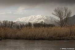 Dreamy Timpanogos 032017