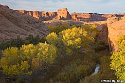 Cottonwood Creek Arches 102316