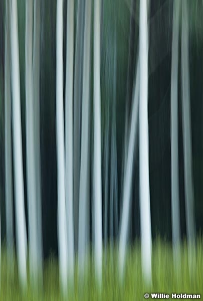 Aspen Abstract 080713 2