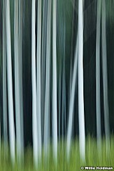 Aspen Abstract 080713 2