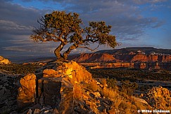 Double Pinion Sunrise 122025 0220 2