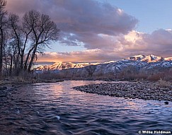 Provo River Sunrise Tree 020815