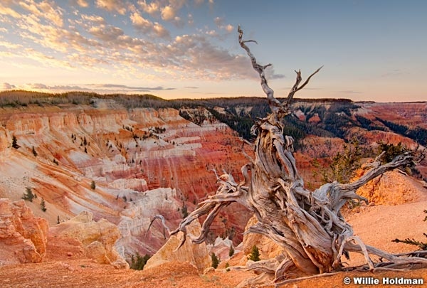 cedarbreakssunrise