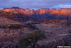 Zion Red Towers Of Virgin 10326 2118