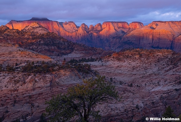 Zion Red Towers Of Virgin 10326 2118