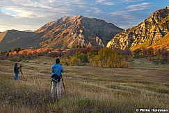 Timp Rays Workshop 8995