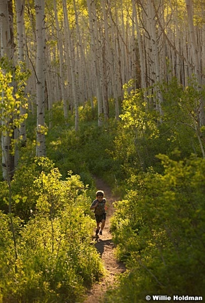 Trail Hiking Aspens 061513 9456