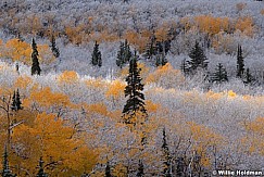 Boulder mountain dusting close 101212