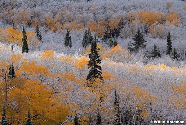 Boulder mountain dusting close 101212