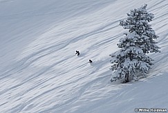 Powder Skiing Sundance 121615 6642 2