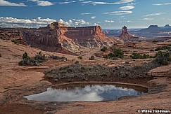 Waterhole Candlestick Canyonlands 032120 7068