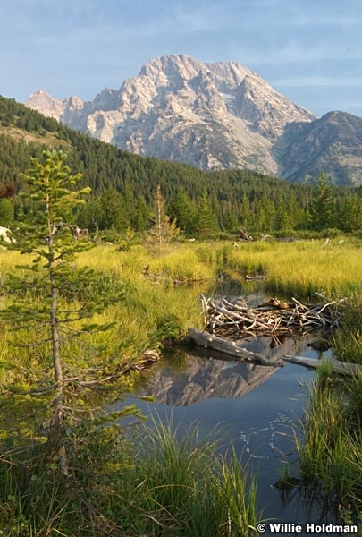 teton071707 798