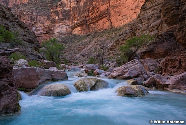 Havasu Canyon 061716 9463