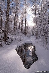 Lake Creek Stream 012720 3049