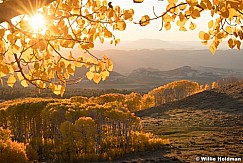 Boulder Mountain Aspen Sunrise 101922 3043