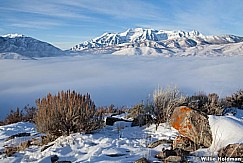 timpfogrock120210 182