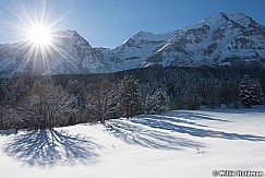 Timpanogos Winter Meadow 010617 9748 4