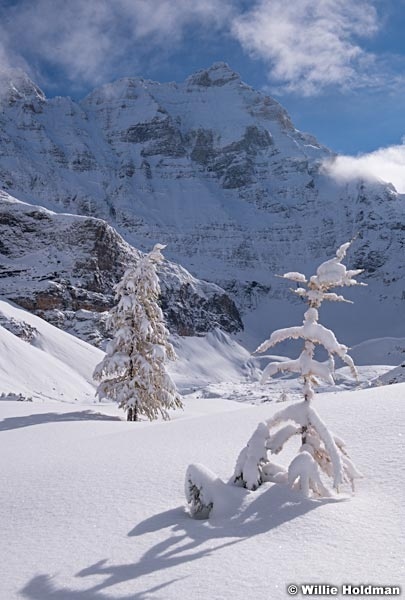 Larch Winter Opabin 100318 7459