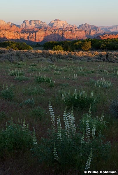 Zion lees Valley 052012 145