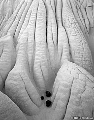 217000009513BW