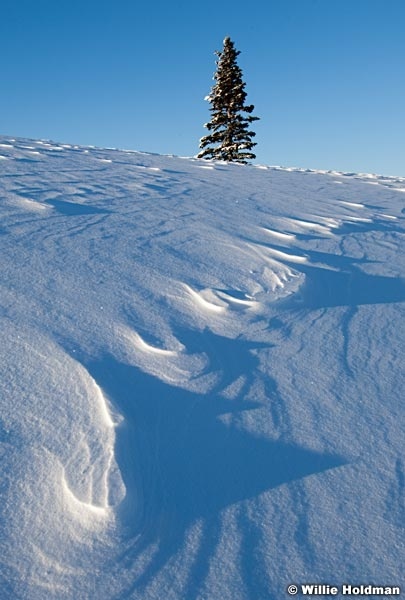 pinedrift040710 1818