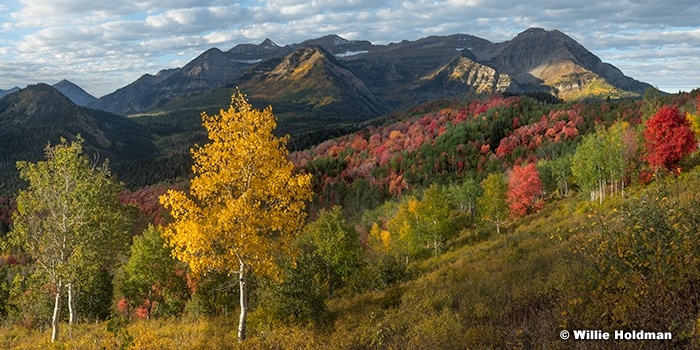 Light On Aspen Timp 092624 0322