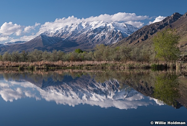 Timpanogos Spring Snow 043018 7650