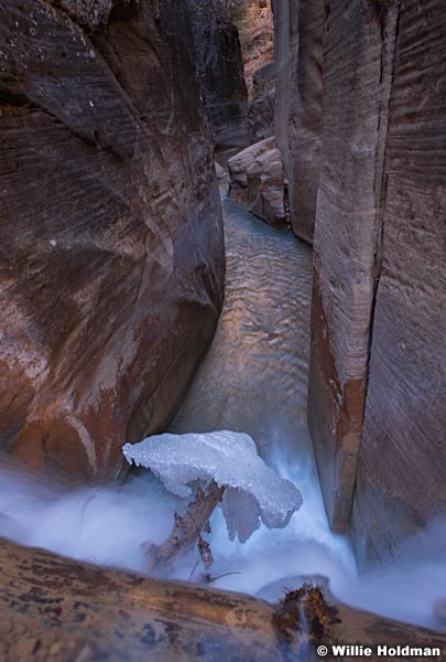 Zion Narrows 110519 3831