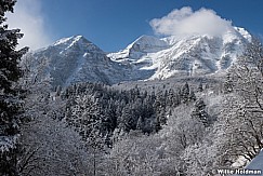 Timpanogos Frosty Trees 121616 8349