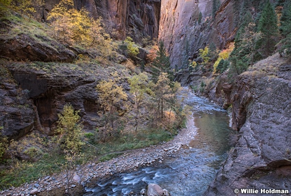 Zion Narrows 110619 4689 2