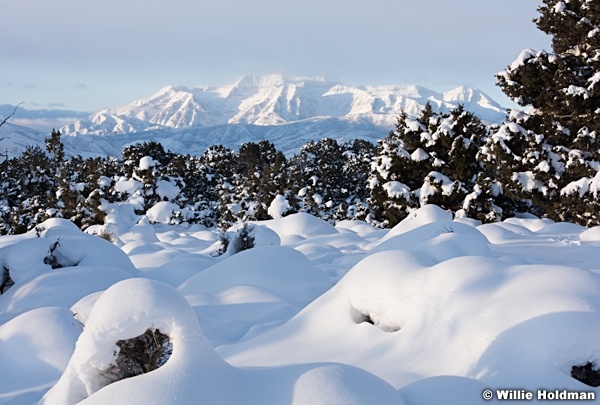 Snowy Timpanogos Heber 121525 2