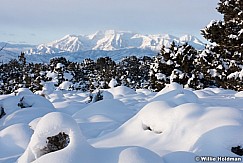 Snowy Timpanogos Heber 121525 2
