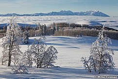 Frostytreesdeervalley8122410 257