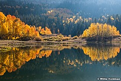 Autumn Aspens Reflection 100420 3704 2
