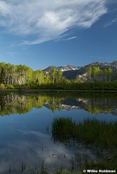 Willow Lake Reflection 061513 9108