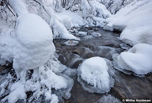 WIL 2605 6 icy north fork stream