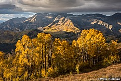 Golden Aspens Timp 100216 9859