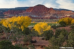 Torrey Knoll Autumn Colors 102624 4205