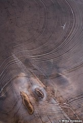 Ice patterns 020118 1168