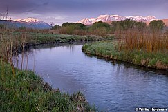Timpanogos Spring 043015 8284